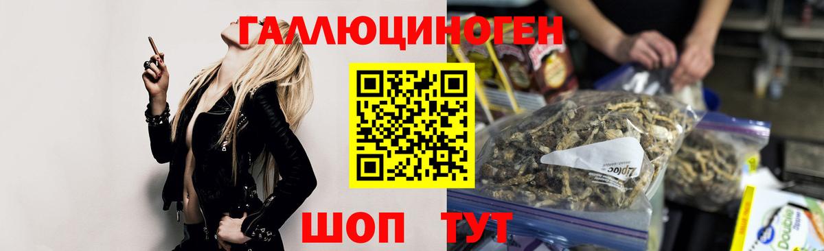 Галлюциногенные грибы Magic Shrooms  сколько стоит  Саянск  Вход с VPN  Псилоцибиновые грибы прущие грибы 